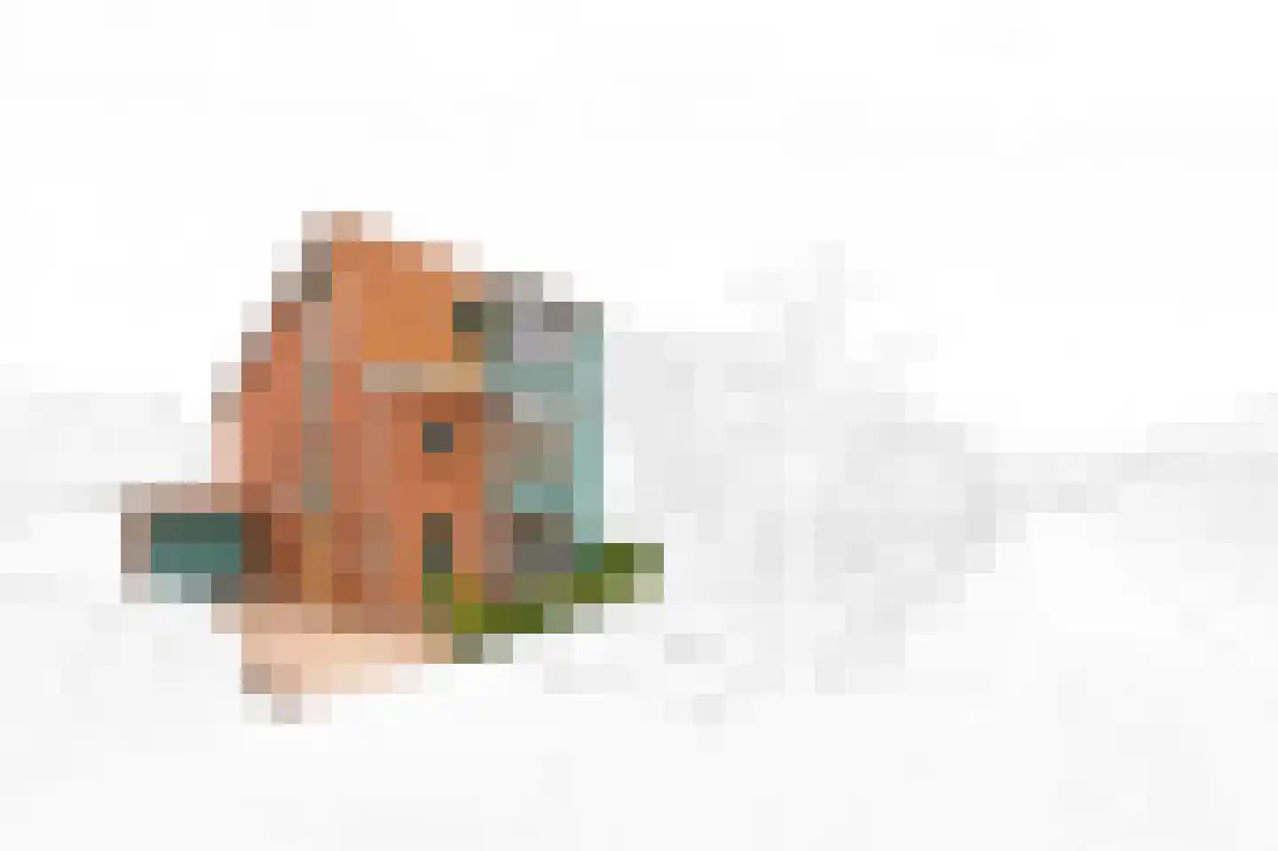 Bellefleur 35 Den Hoorn thumbnail 8
