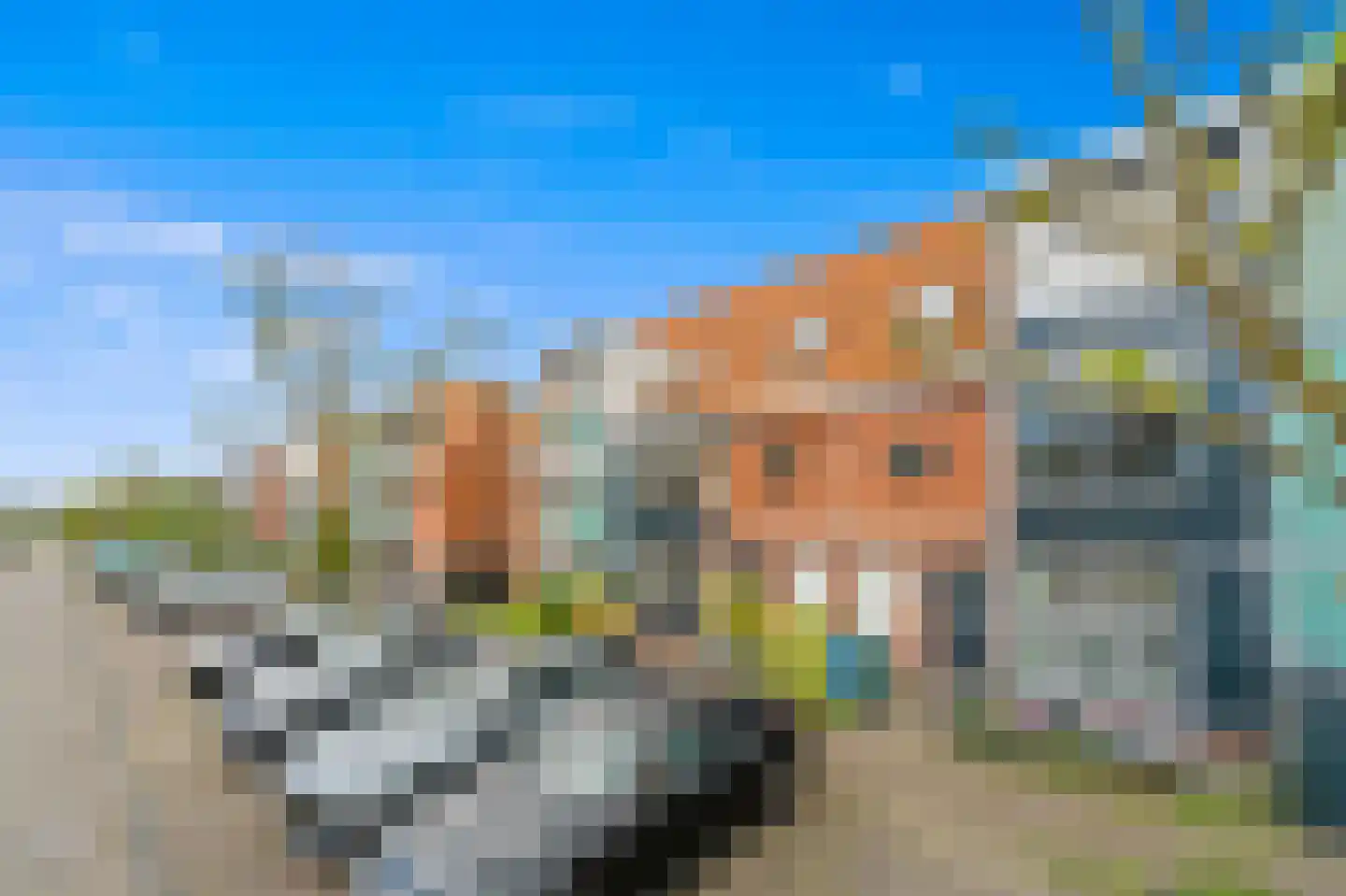 Bellefleur 37 Den Hoorn thumbnail 7