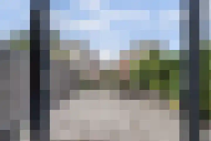 Bellefleur 38 Boskoop thumbnail 17