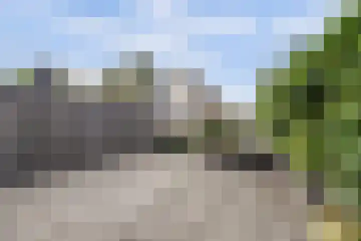 Bellefleur 38 Boskoop thumbnail 18