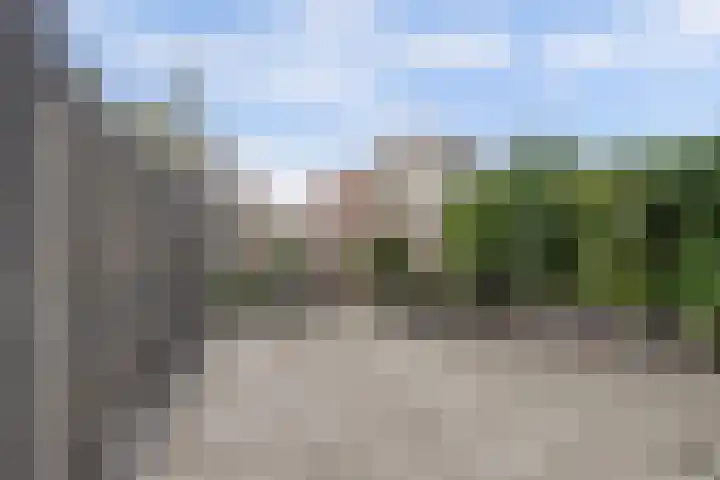 Bellefleur 38 Boskoop thumbnail 19