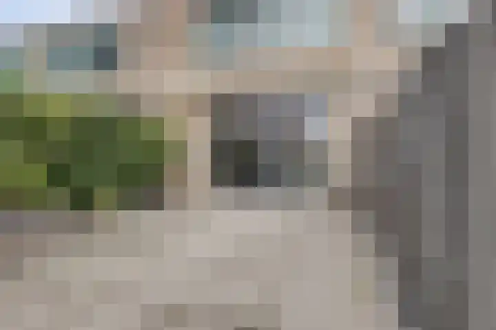 Bellefleur 38 Boskoop thumbnail 22