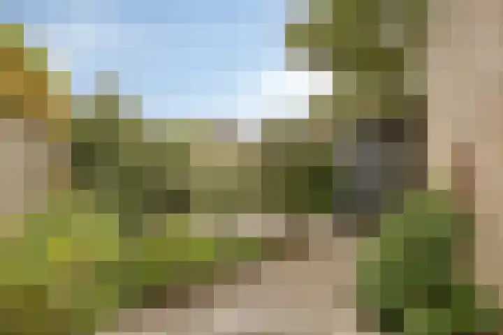 Bellefleur 39 Duiven thumbnail 31