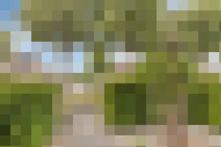 Bellefleur 39 Duiven thumbnail 36