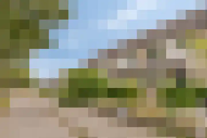 Bellefleur 39 Duiven thumbnail 37