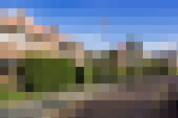 Bellefleur 39 Duiven thumbnail 43