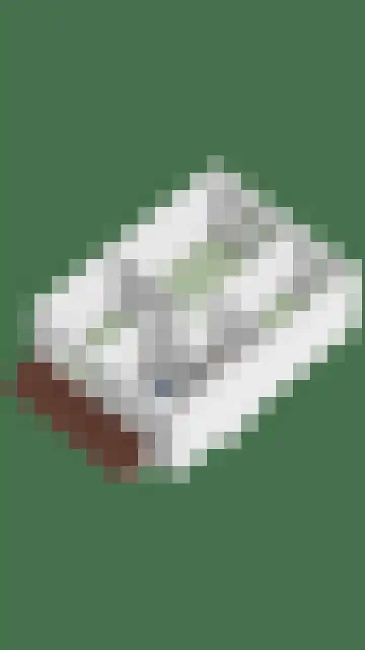 Bellefleur 39 Duiven thumbnail 47