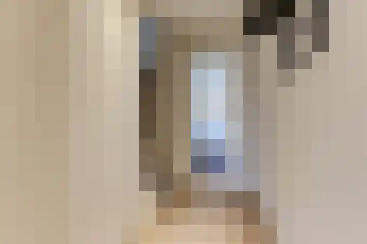 Bellefleur 41 Duiven thumbnail 12