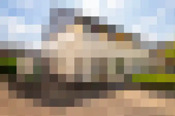 Bellefleur 41 Duiven thumbnail 16