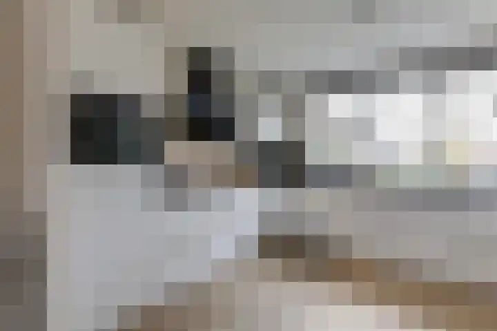 Bellefleur 41 Duiven thumbnail 22