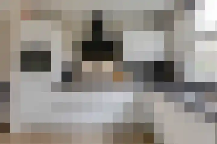 Bellefleur 41 Duiven thumbnail 23