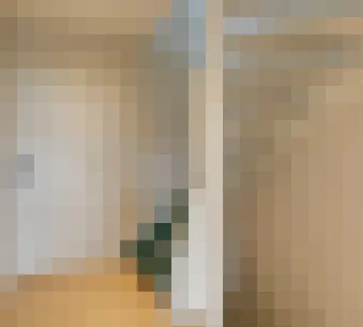 Bellefleur 41 Duiven thumbnail 32