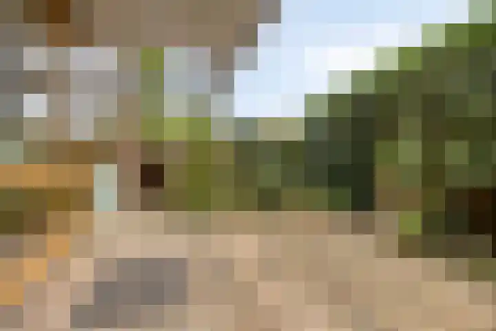 Bellefleur 41 Duiven thumbnail 42