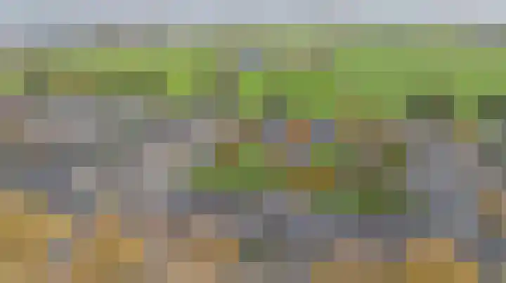Bellefleur 41 Duiven thumbnail 58