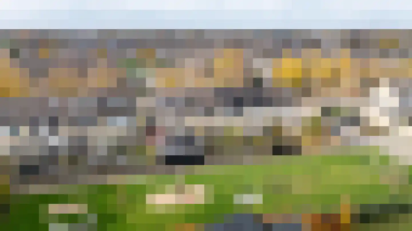 Bellefleur 41 Duiven thumbnail 6
