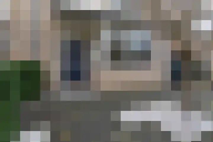 Bellefleur 41 Duiven thumbnail 9