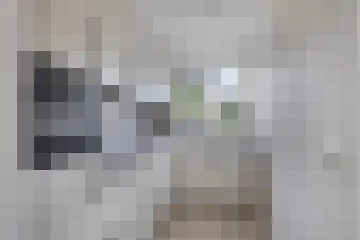 Bellefleur 54 Duiven thumbnail 15