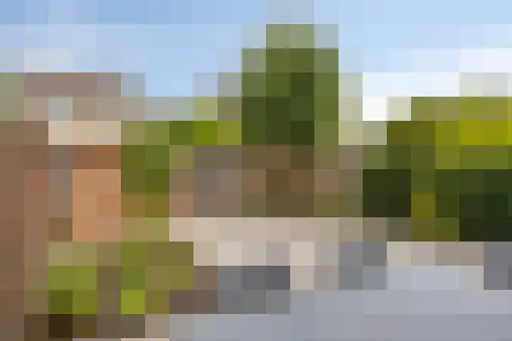 Bellefleur 54 Duiven thumbnail 30