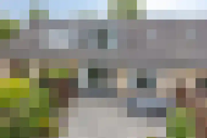 Bellefleur 54 Duiven thumbnail 34