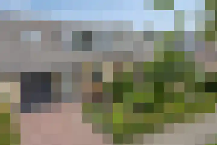 Bellefleur 54 Duiven thumbnail 35