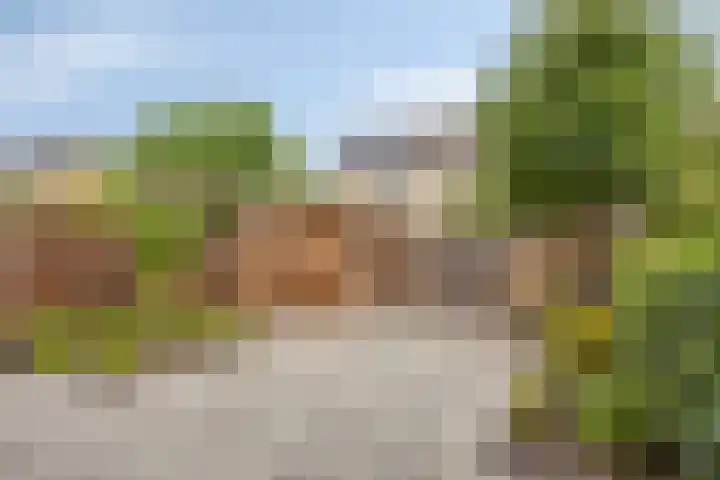 Bellefleur 54 Duiven thumbnail 4