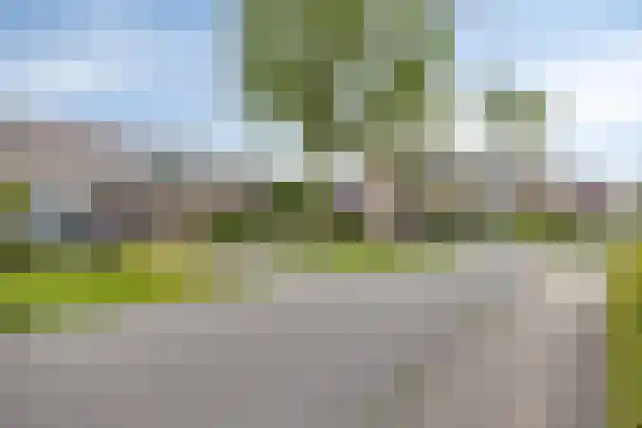 Bellefleur 54 Duiven thumbnail 41