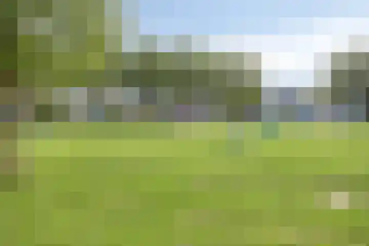 Bellefleur 54 Duiven thumbnail 42