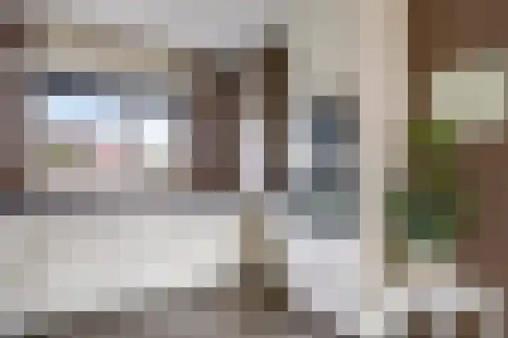 Bellefleur 54 Zetten thumbnail 22