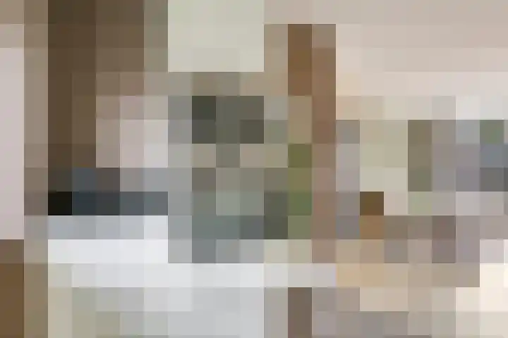 Bellefleur 54 Zetten thumbnail 23