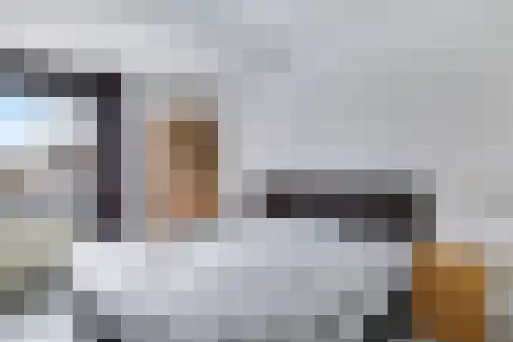 Bellefleur 54 Zetten thumbnail 28