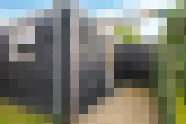Bellefleur 54 Zetten thumbnail 48