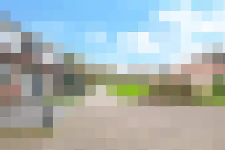 Bellefleur 54 Zetten thumbnail 54