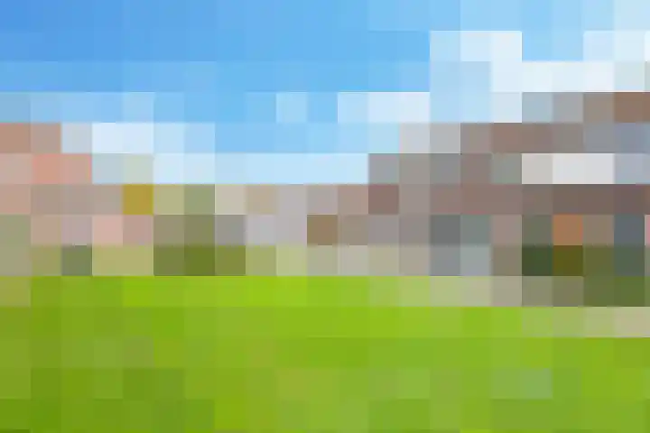 Bellefleur 54 Zetten thumbnail 55