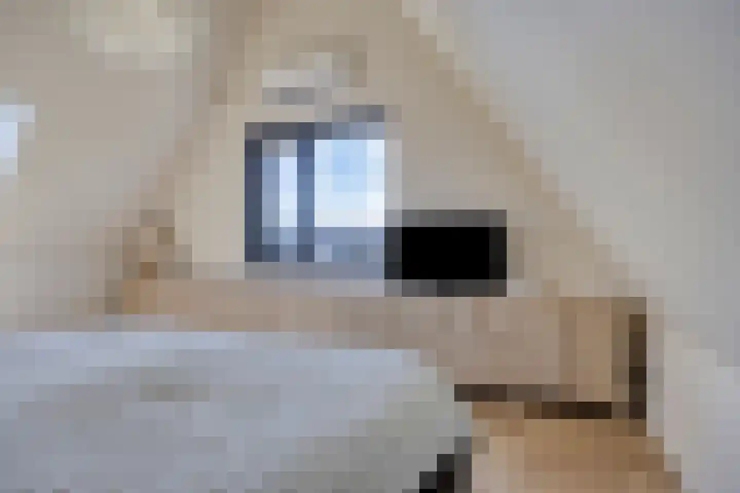 Bellefleur 6 Kampen thumbnail 33