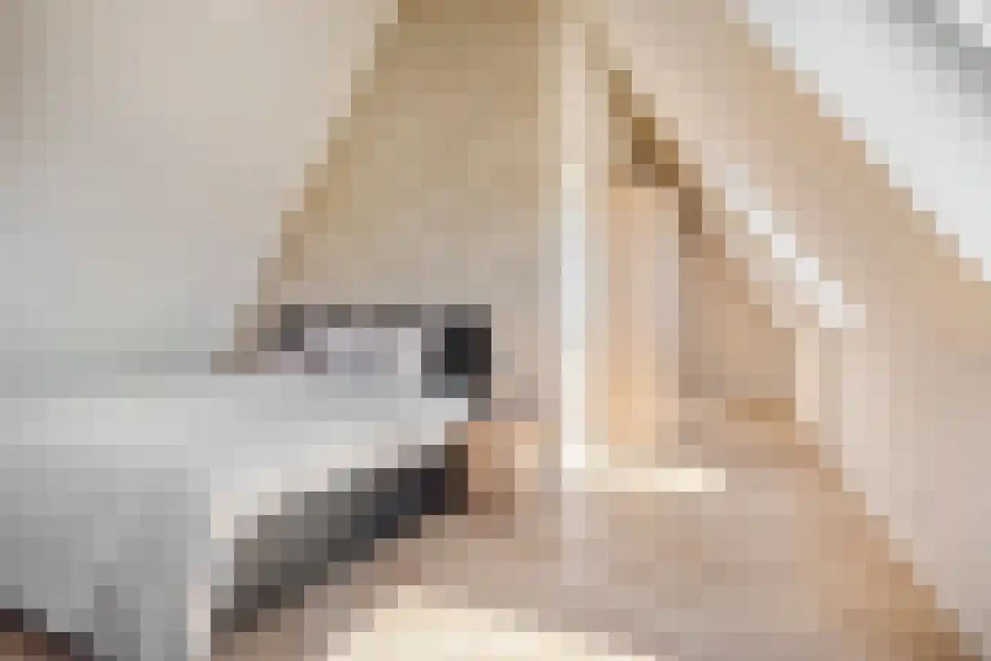 Bellefleur 6 Kampen thumbnail 6