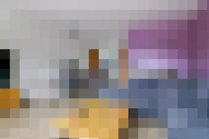 Bellefleur 60 Zetten thumbnail 15