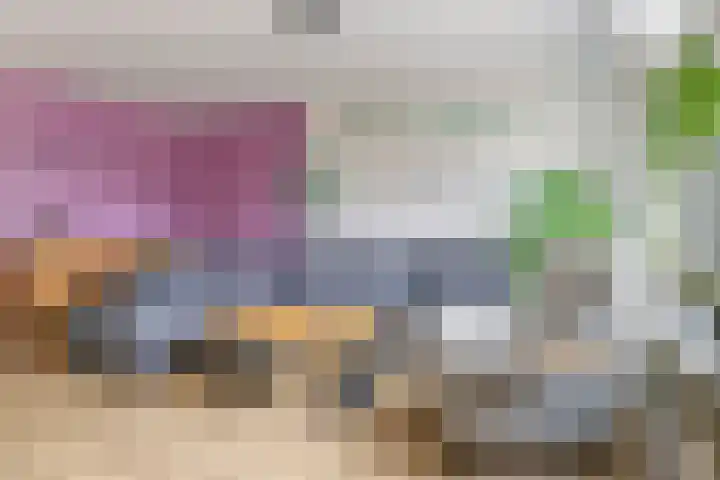 Bellefleur 60 Zetten thumbnail 17