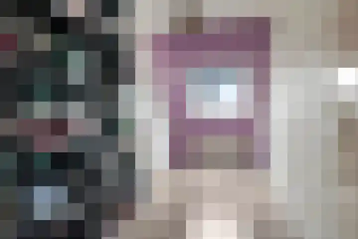 Bellefleur 60 Zetten thumbnail 36