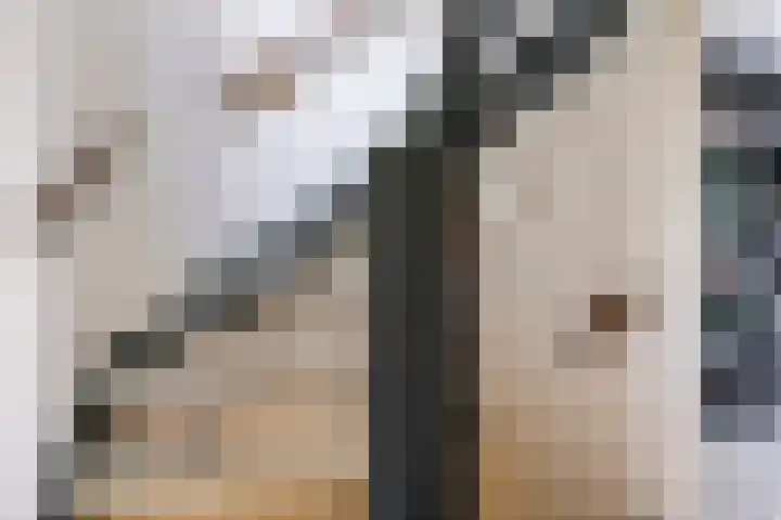 Bellefleur 60 Zetten thumbnail 40