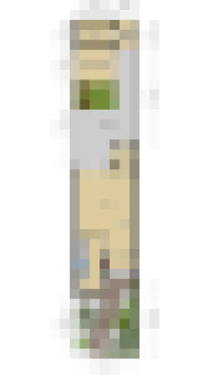 Bellefleur 60 Zetten thumbnail 46