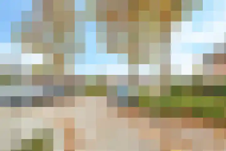 Bellefleur 60 Zetten thumbnail 65