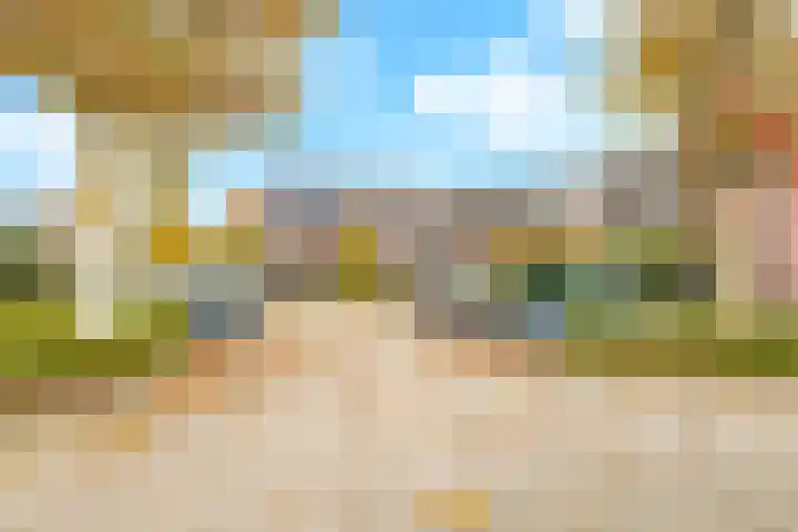 Bellefleur 60 Zetten thumbnail 66