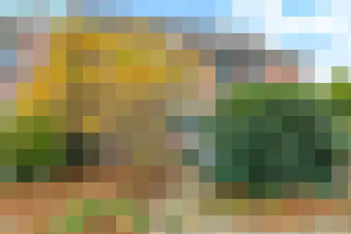 Bellefleur 60 Zetten thumbnail 7