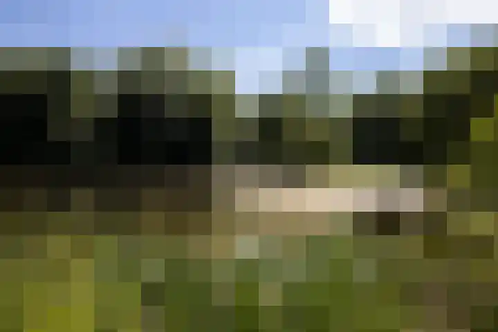 Bellefleur 60 Zetten thumbnail 73