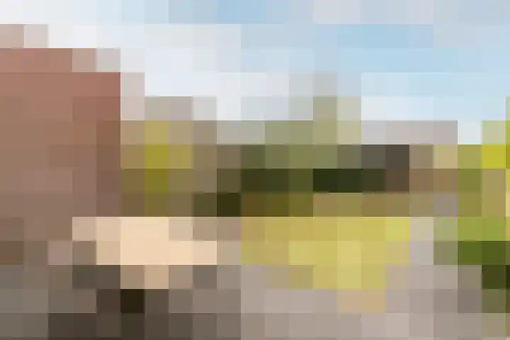 Bellefleur 7 Andel thumbnail 28