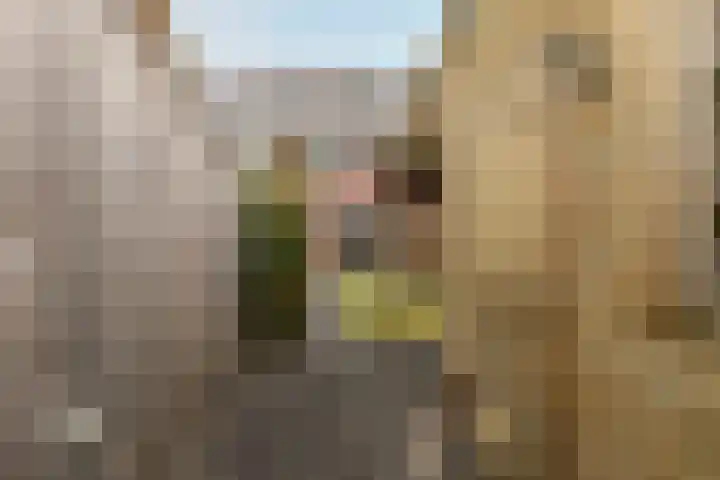 Bellefleur 7 Andel thumbnail 32