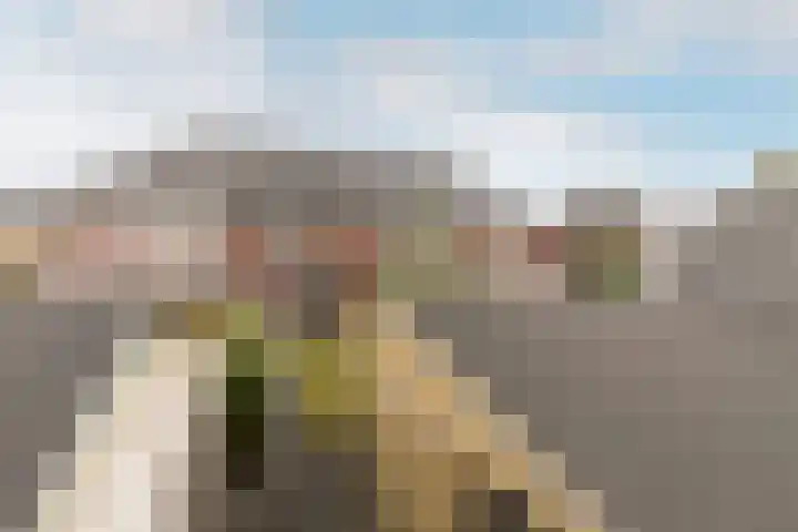 Bellefleur 7 Andel thumbnail 33