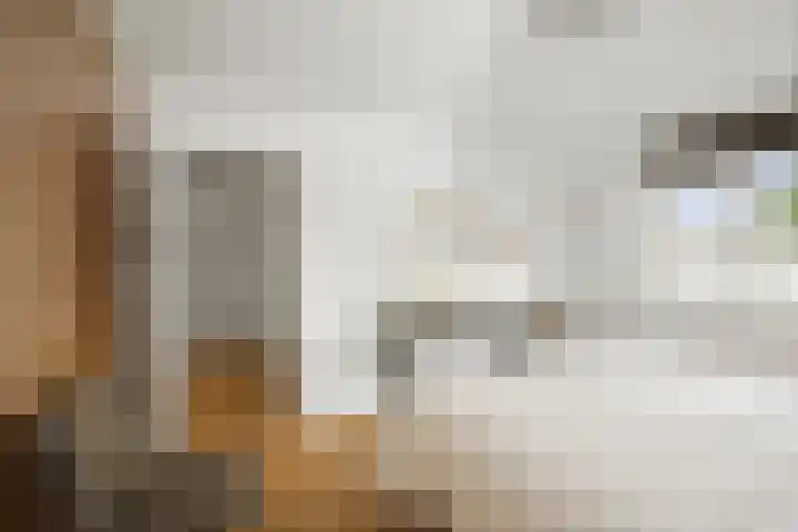 Bellefleur 7 Andel thumbnail 6