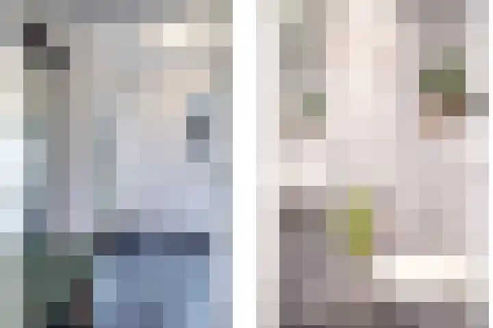 Bellefleur 7 Zetten thumbnail 33