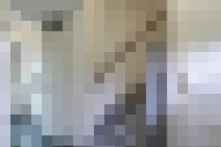 Bellefleur 7 Zetten thumbnail 34